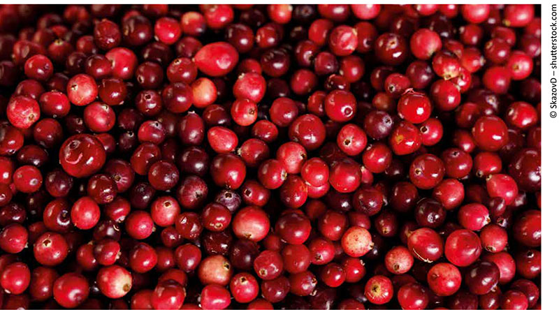 Cranberrys